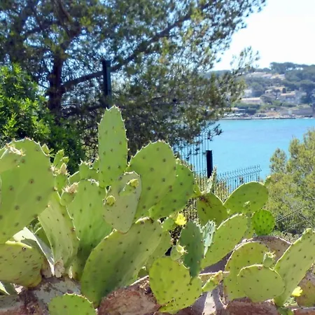 Apartment With Garden 200 M From The Sanary-sur-Mer
