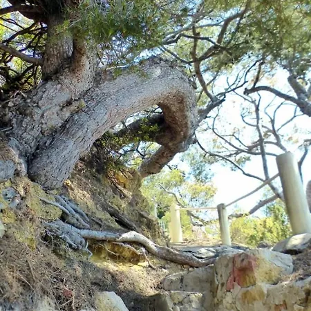 Lejlighed With Garden 200 M From The Sanary-sur-Mer